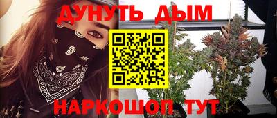 прущие крисы Дубна