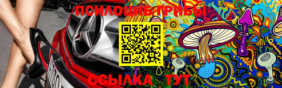Галлюциногенные грибы Cubensis Моздок